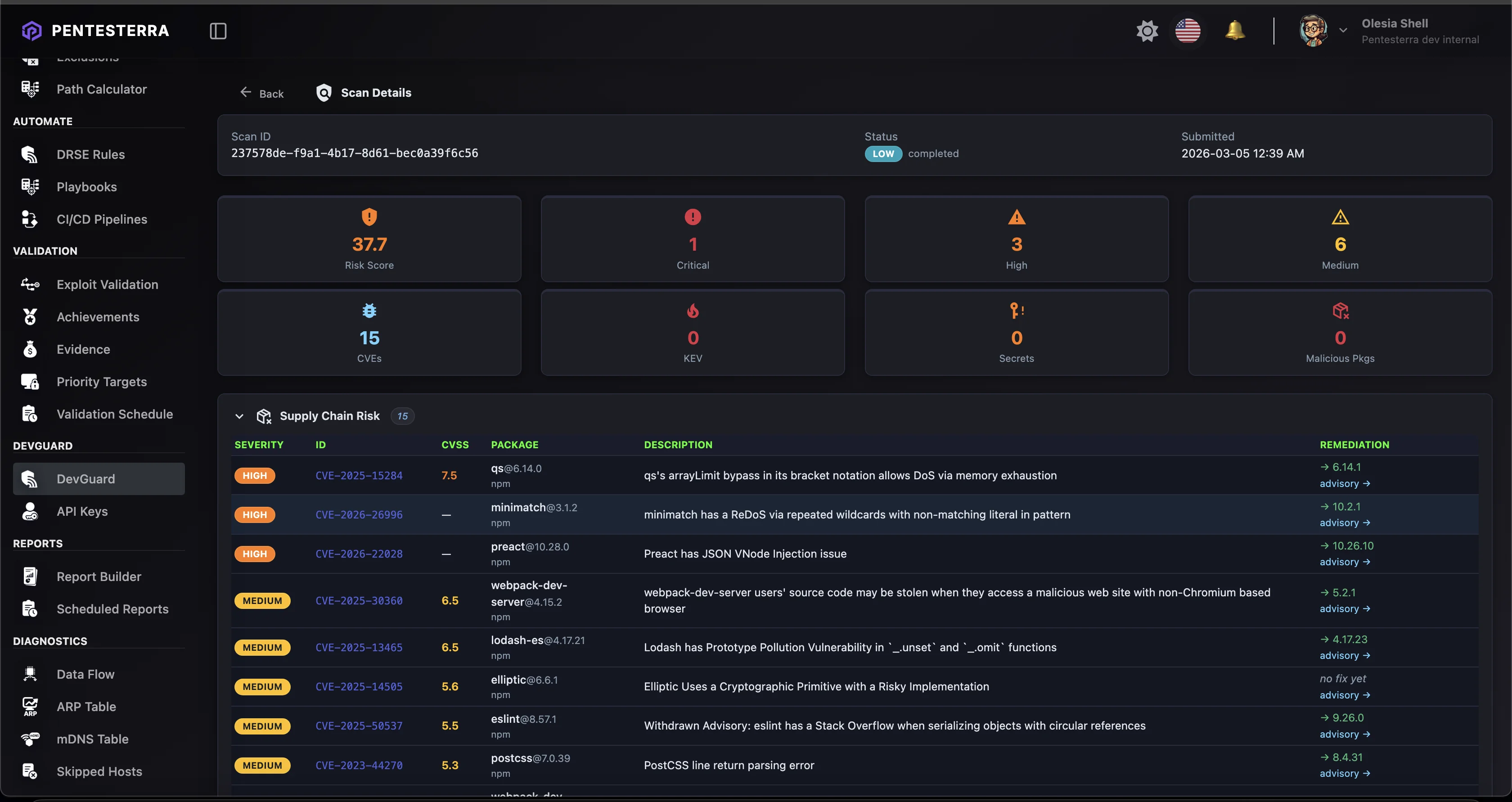 DevGuard web console - scan details