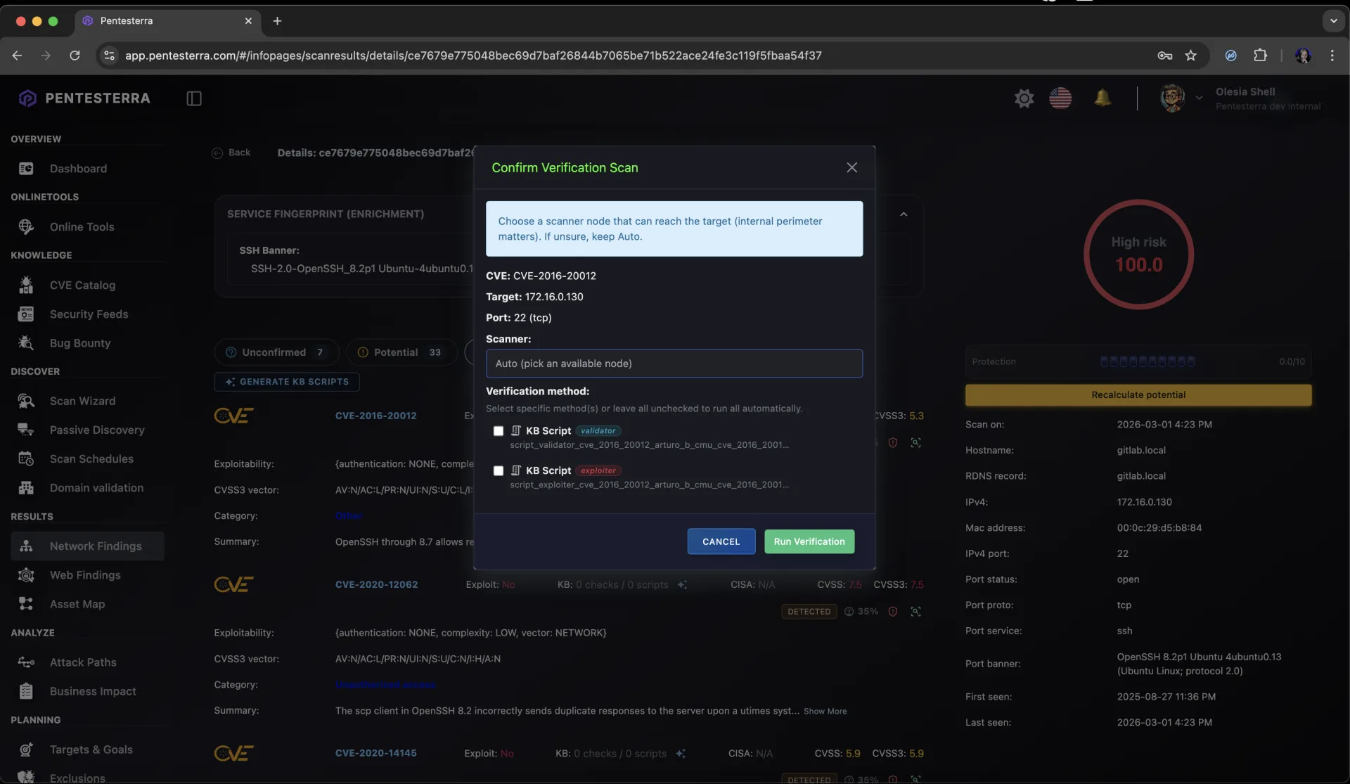 Vulnerability Verification